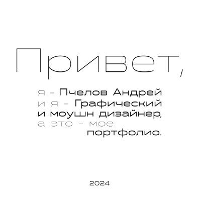 Краткое портфолио